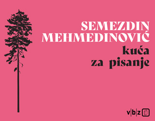 vbz 1